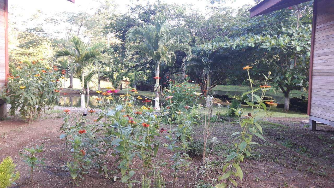 Rincon Verde Bijagua Exterior photo
